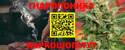 не бодяженный Заводоуковск