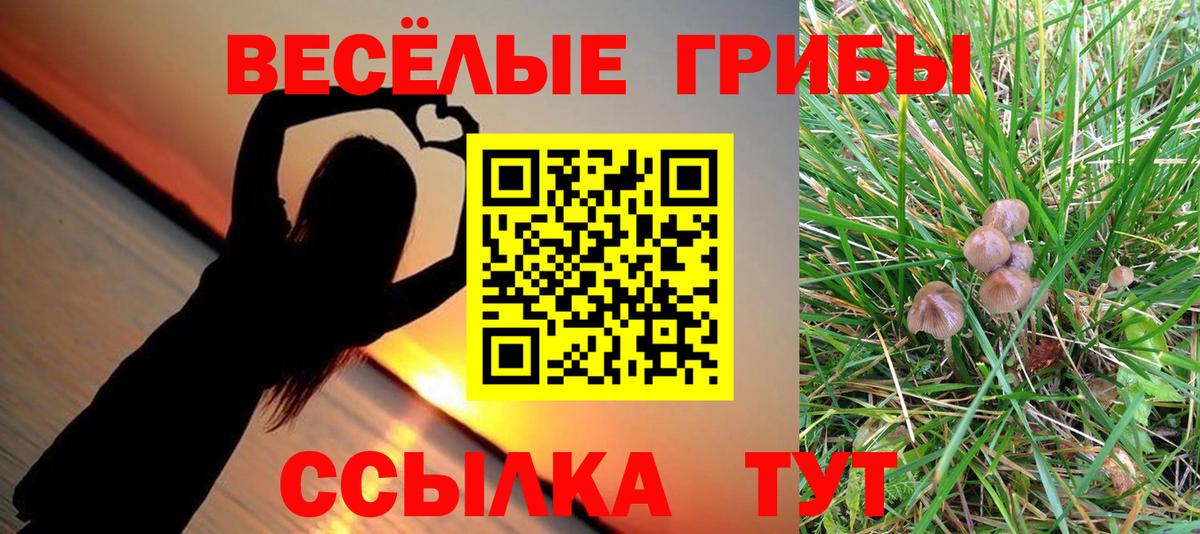 Псилоцибиновые грибы ЛСД Минусинск