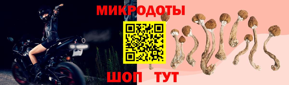 Галлюциногенные грибы GOLDEN TEACHER  Вход с VPN  Минусинск 